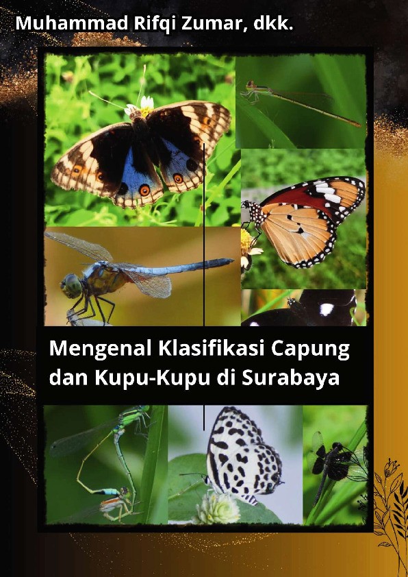 Mengenal Klasifikasi Capung dan Kupu-Kupu di Surabaya
